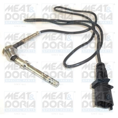 Sensor, exhaust gas temperature